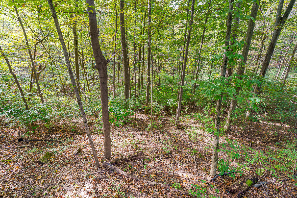 1037 Ravine Ridge Dr-11