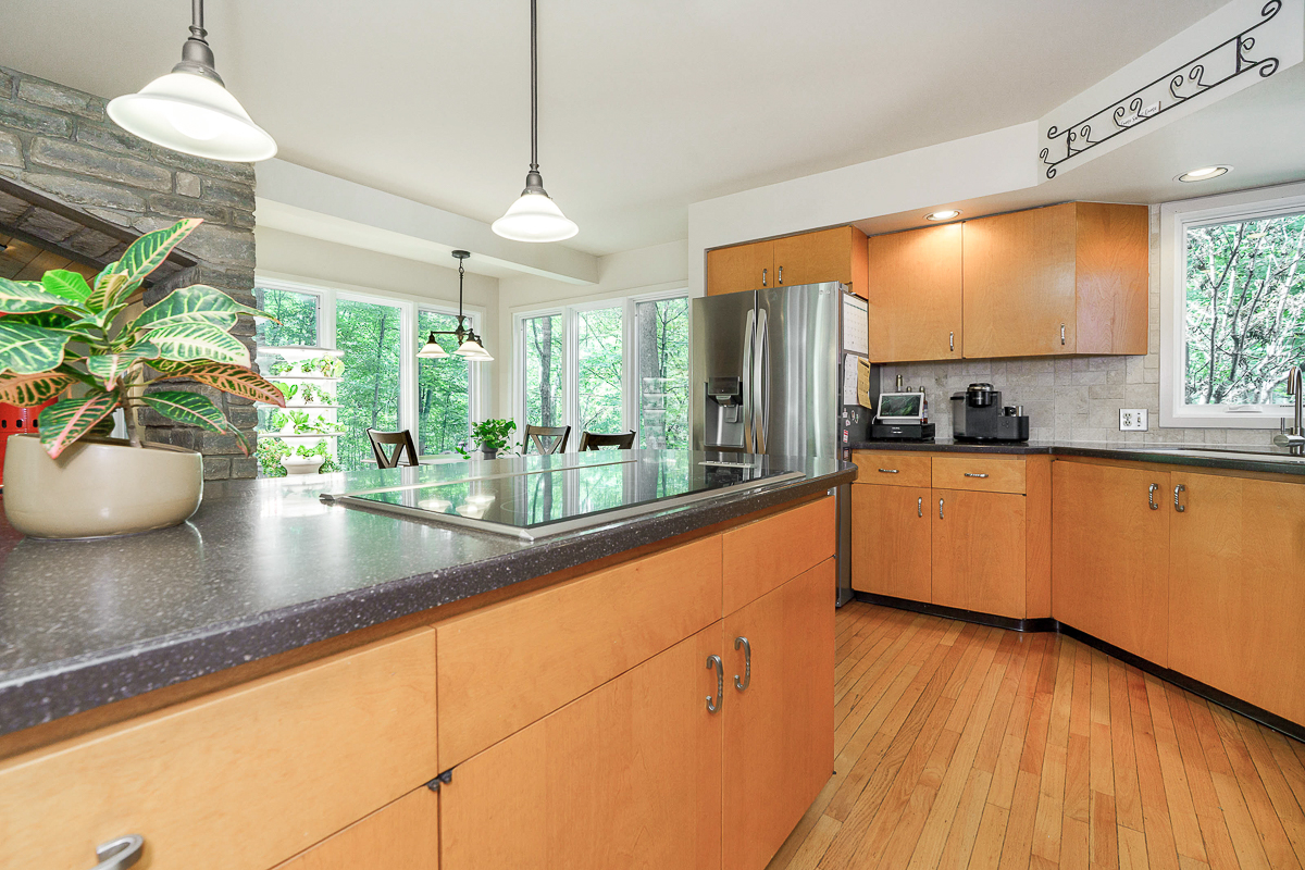 1037 Ravine Ridge Dr-53