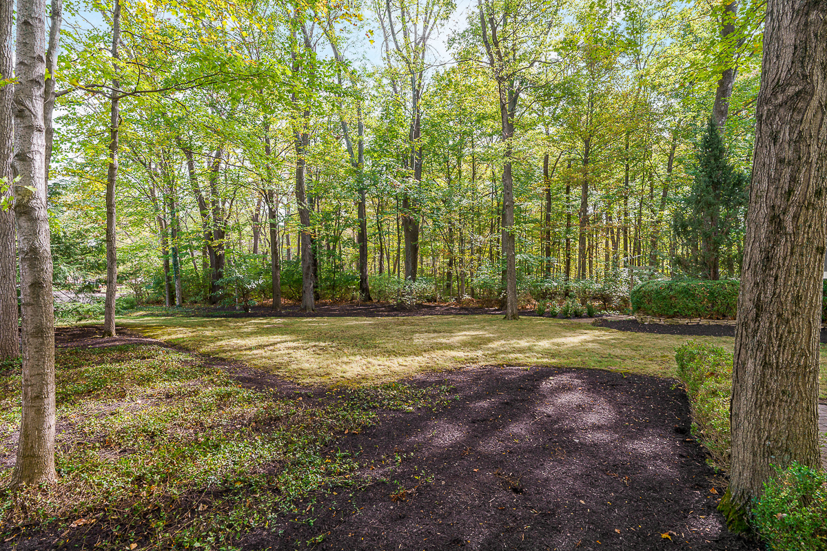 1037 Ravine Ridge Dr-6