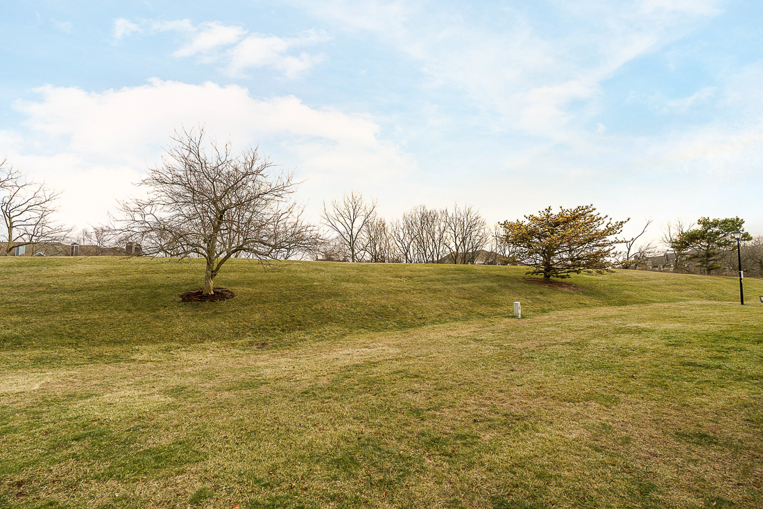 5418 Coral Berry Dr-12