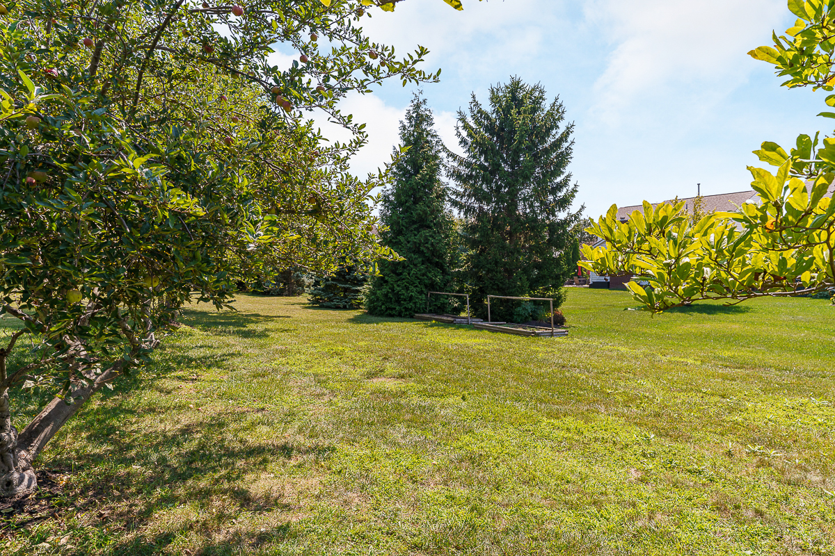 6177 Woodsview Way-12