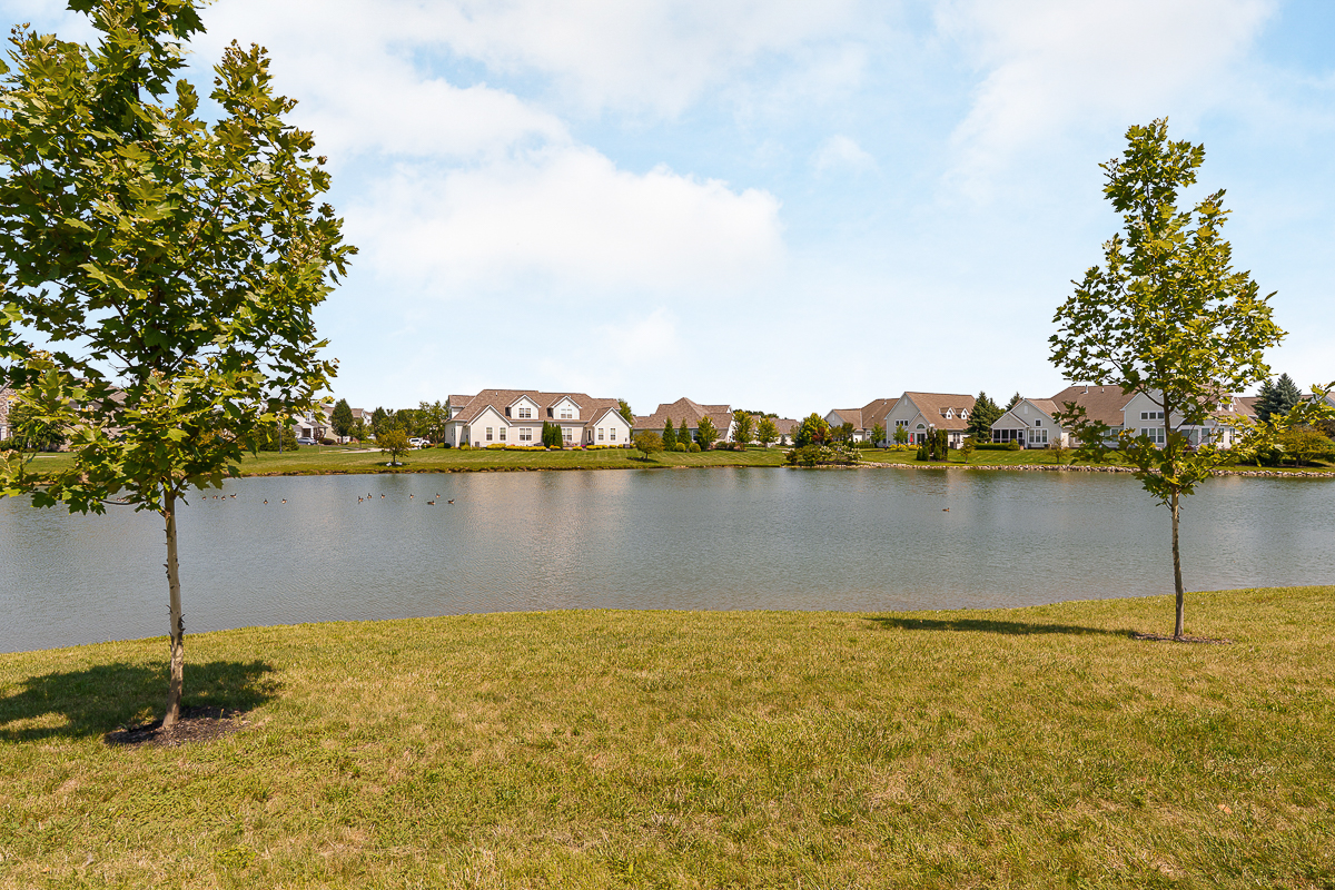 6177 Woodsview Way-9