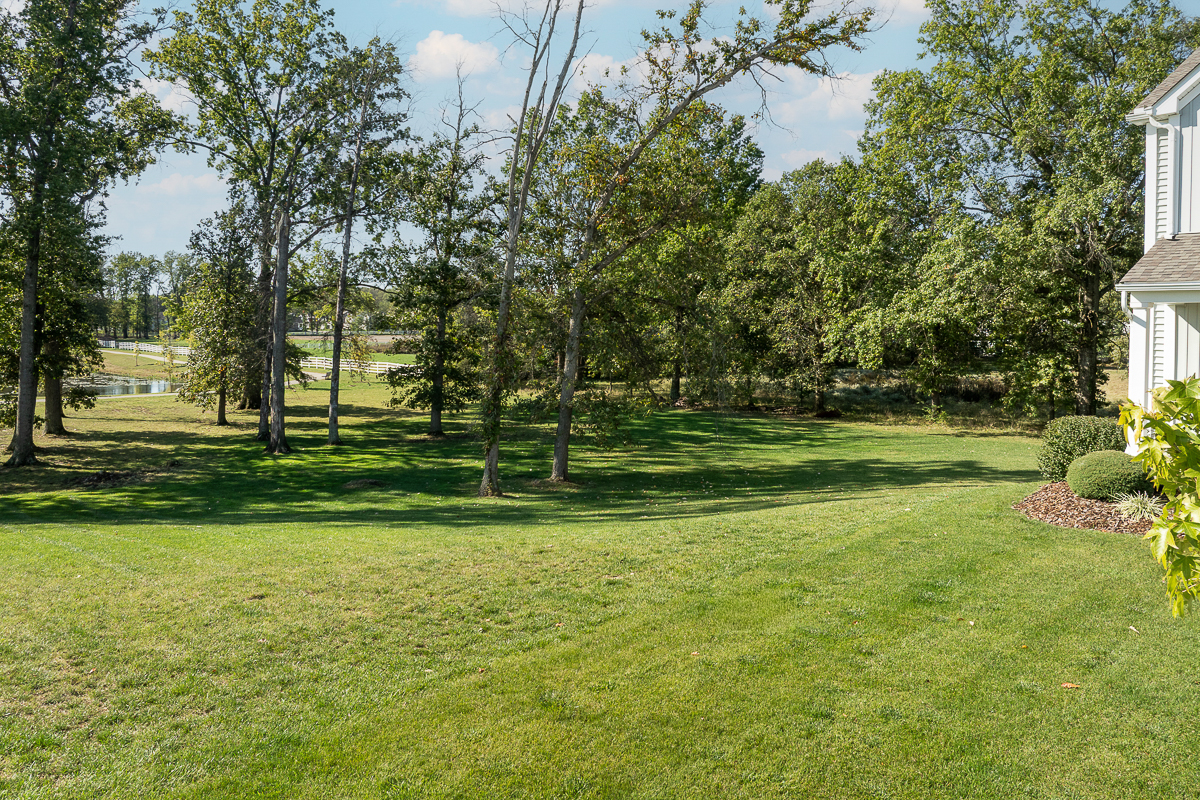 6643 Cold Mountain Dr-49