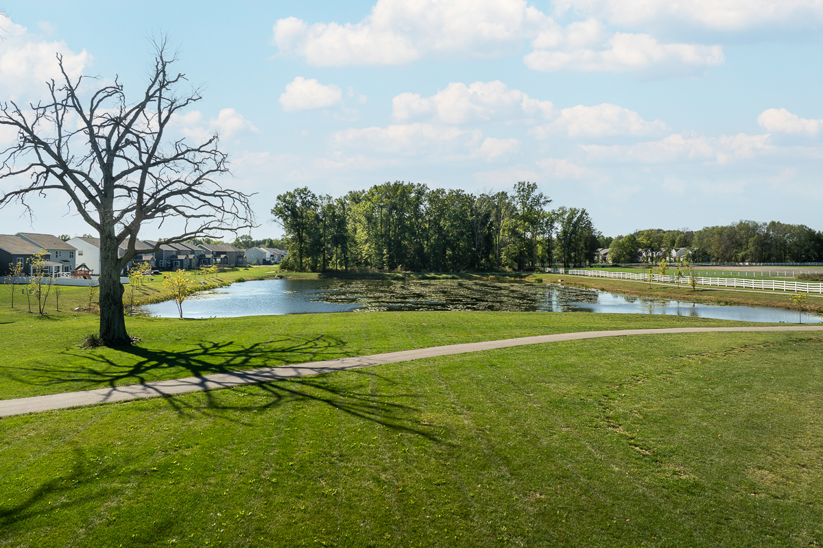 6643 Cold Mountai Dr-------49